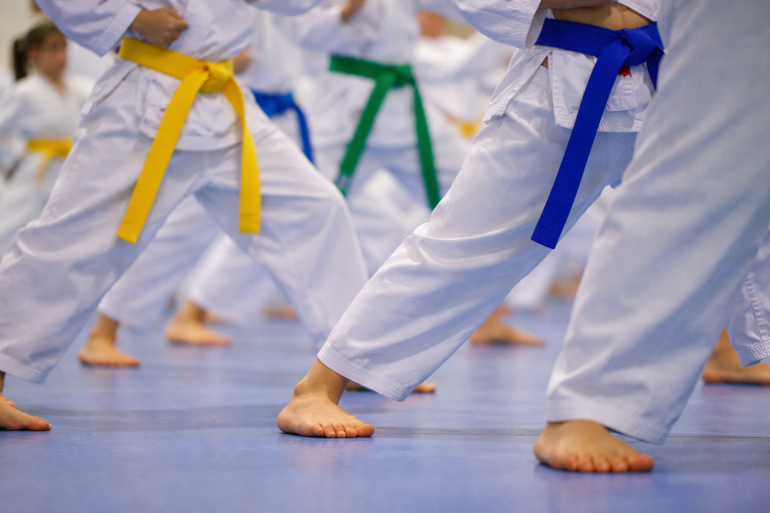 Dún Laoghaire ITF Taekwon-Do | Premium Martial Arts Training